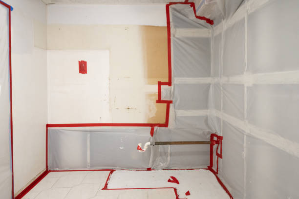 Trusted Chelsea, OK Mold Removal Experts